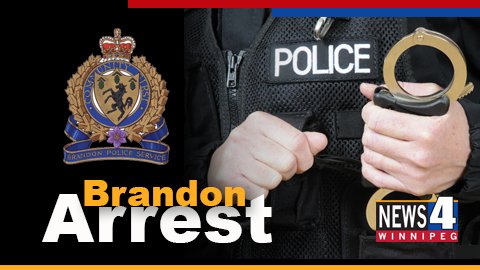 Brandon arrest graphic