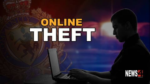 online theft graphic