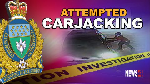 attempted carjacking graphic