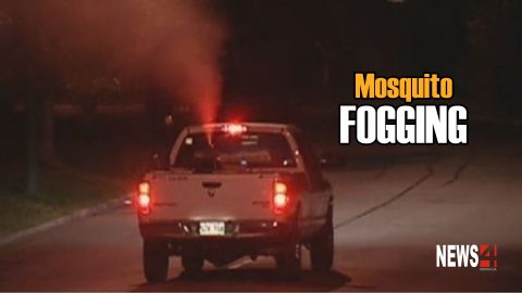 Truck fogs for mosquitoes Graphic