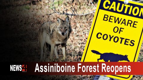 Assiniboine Forest reopens Graphic