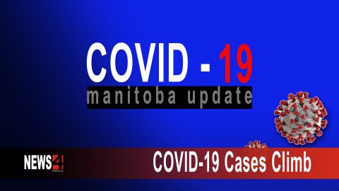 covid cases climb graphic