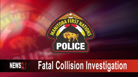 Fatal Collision Graphic