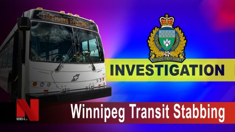 Winnipeg Transit Stabbing