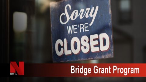 Bridge Grant Program