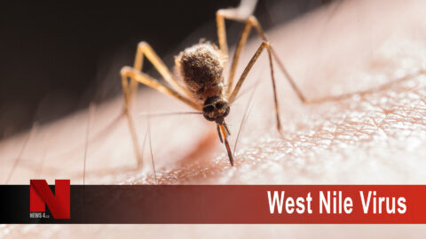 West Nile Virus