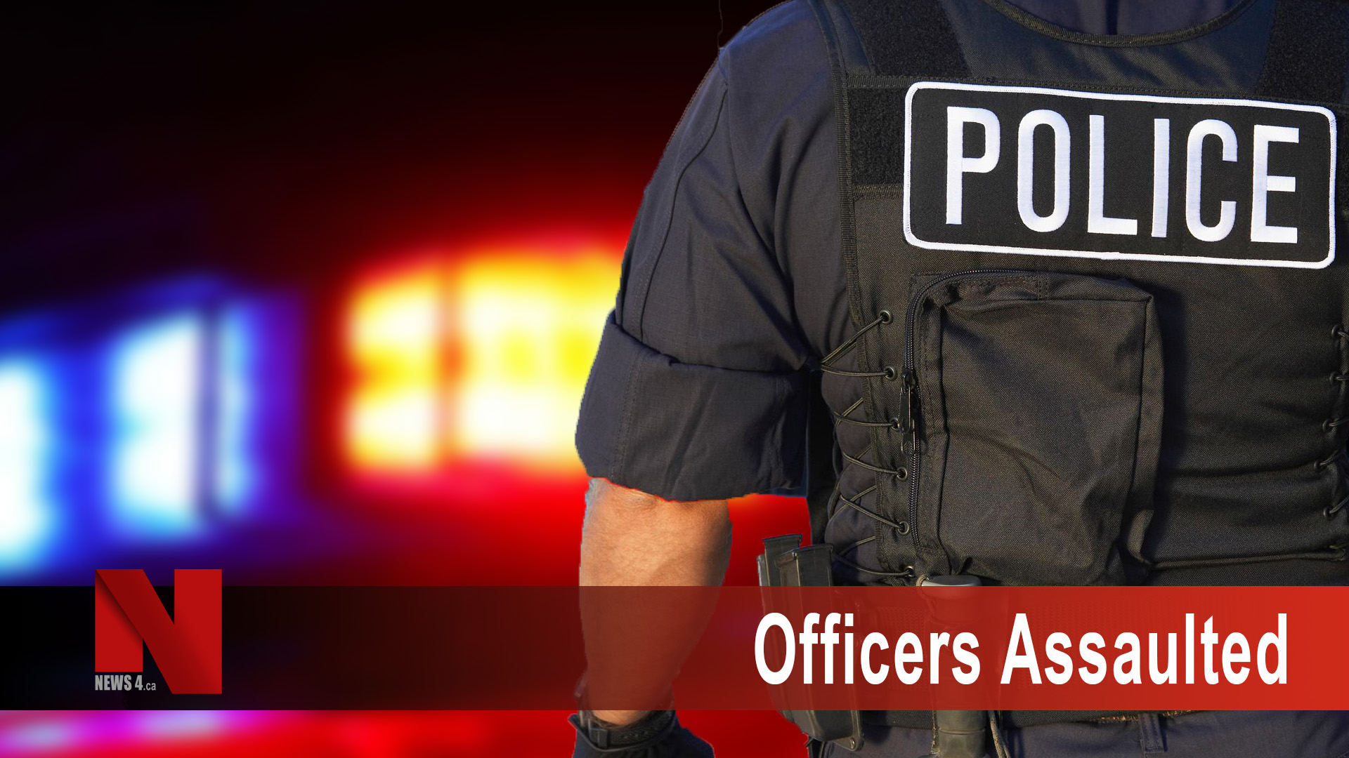 Officers Assaulted