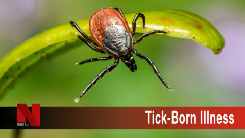 Tick-born illness